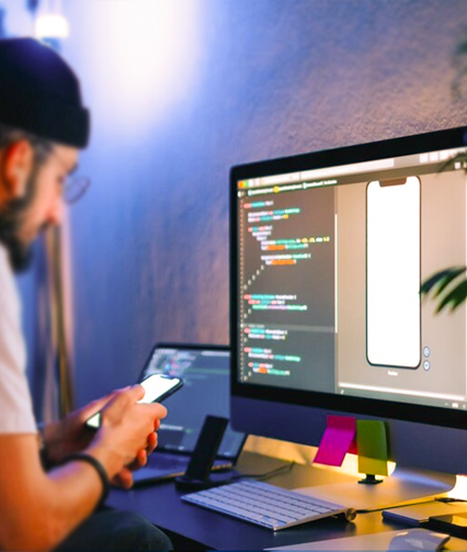 System Development image